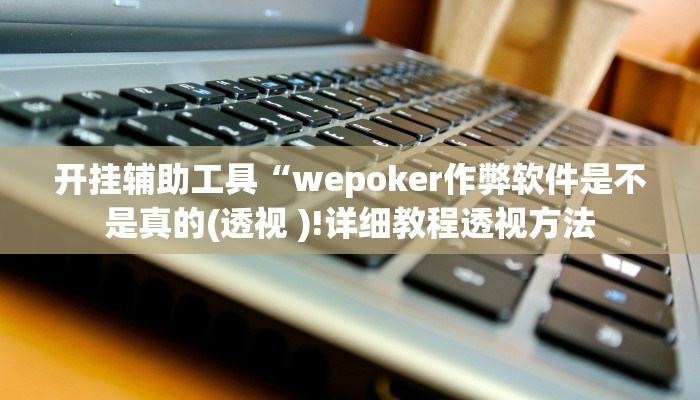 开挂辅助工具“wepoker作弊软件是不是真的(透视 )!详细教程透视方法