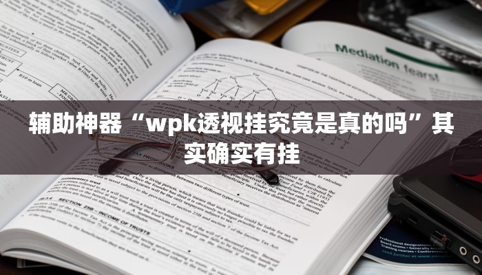 辅助神器“wpk透视挂究竟是真的吗”其实确实有挂