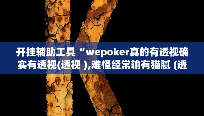 开挂辅助工具“wepoker真的有透视确实有透视(透视 ),难怪经常输有猫腻 (透视)