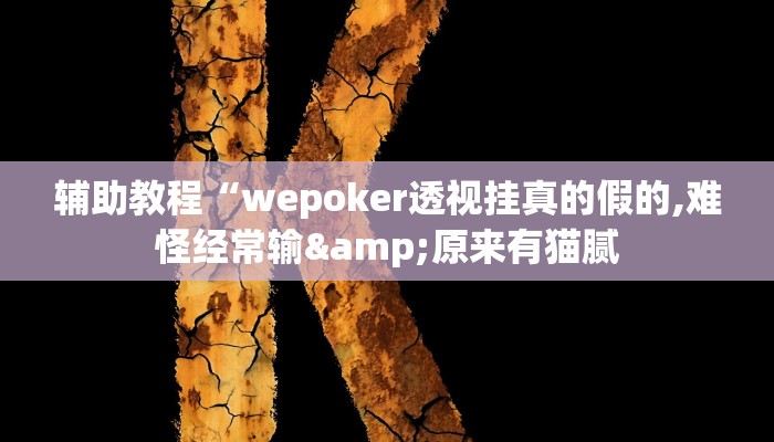 辅助教程“wepoker透视挂真的假的,难怪经常输&原来有猫腻