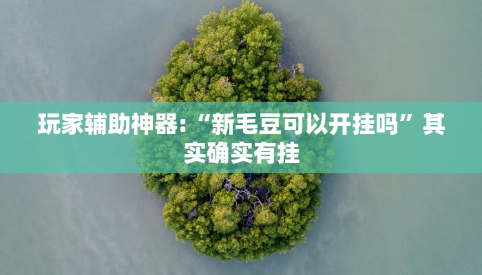 玩家辅助神器:“新毛豆可以开挂吗”其实确实有挂