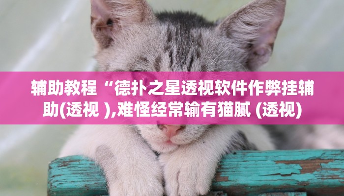 辅助神器“边锋干瞪眼作弊”开挂详细教程