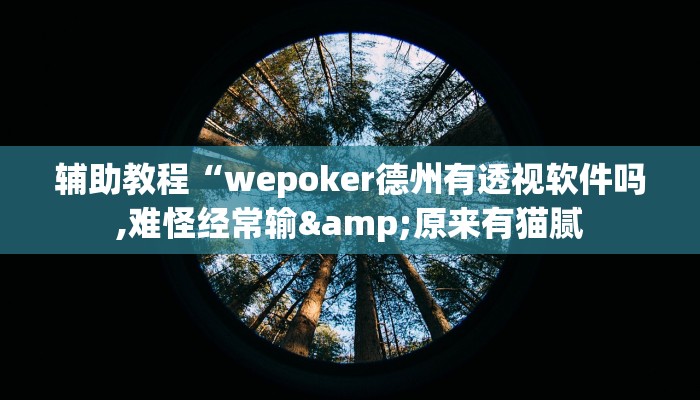 辅助教程“wepoker德州有透视软件吗,难怪经常输&原来有猫腻