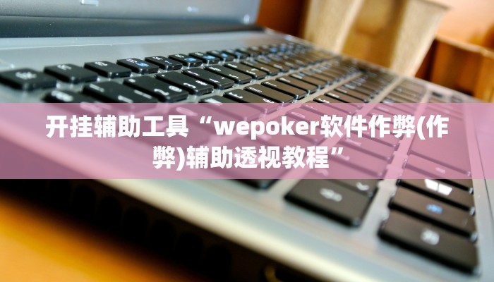 开挂辅助工具“wepoker软件作弊(作弊)辅助透视教程”