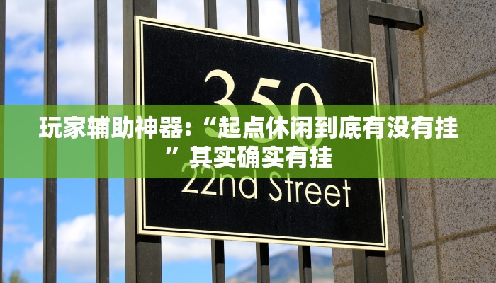 玩家辅助神器:“起点休闲到底有没有挂”其实确实有挂