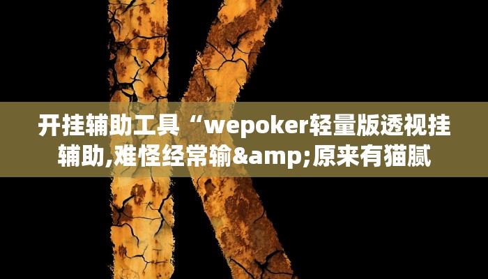 开挂辅助工具“wepoker轻量版透视挂辅助,难怪经常输&原来有猫腻