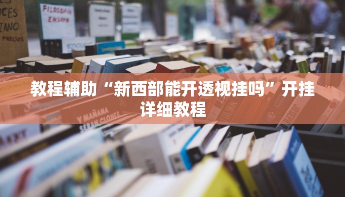 教程辅助“新西部能开透视挂吗”开挂详细教程