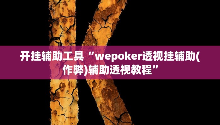 开挂辅助工具“wepoker透视挂辅助(作弊)辅助透视教程”