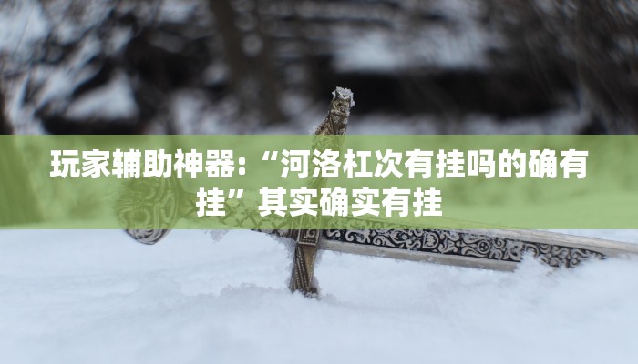 玩家辅助神器:“河洛杠次有挂吗的确有挂”其实确实有挂