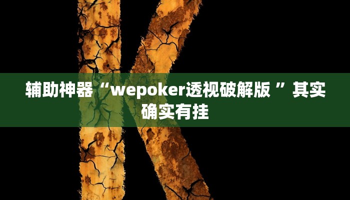 辅助神器“wepoker透视破解版 ”其实确实有挂