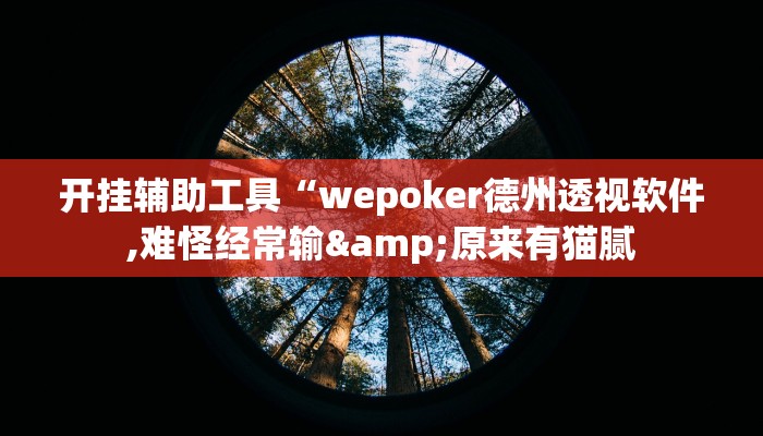 开挂辅助工具“wepoker德州透视软件,难怪经常输&原来有猫腻