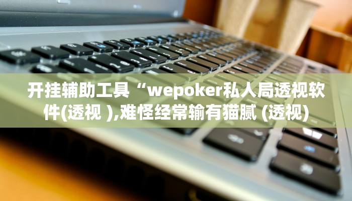 开挂辅助工具“wepoker私人局透视软件(透视 ),难怪经常输有猫腻 (透视)