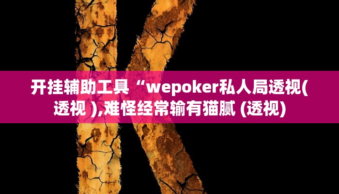 开挂辅助工具“wepoker私人局透视(透视 ),难怪经常输有猫腻 (透视)