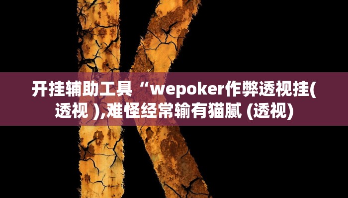 开挂辅助工具“wepoker作弊透视挂(透视 ),难怪经常输有猫腻 (透视)