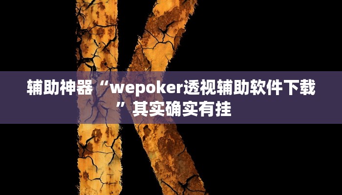 辅助神器“wepoker透视辅助软件下载 ”其实确实有挂