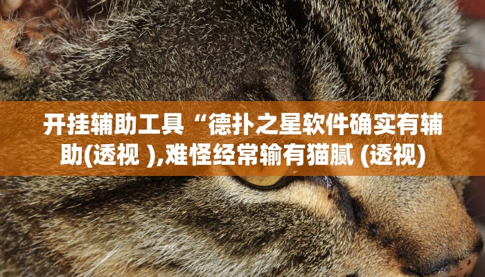 开挂辅助工具“德扑之星软件确实有辅助(透视 ),难怪经常输有猫腻 (透视)