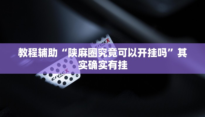 教程辅助“陕麻圈究竟可以开挂吗”其实确实有挂