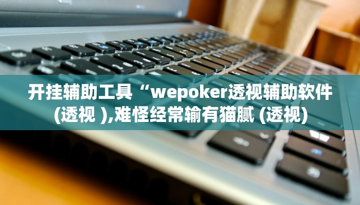 开挂辅助工具“wepoker透视辅助软件(透视 ),难怪经常输有猫腻 (透视)