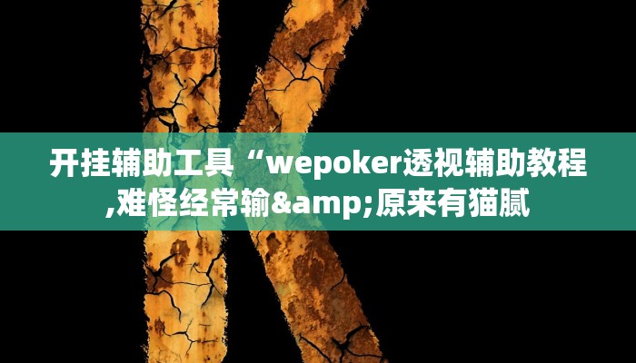 开挂辅助工具“wepoker透视辅助教程,难怪经常输&原来有猫腻