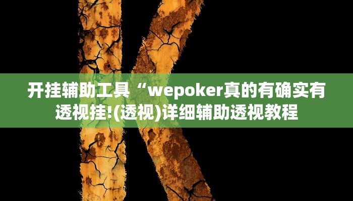 开挂辅助工具“德州局wepoker透视挂破解版(作弊)辅助透视教程”