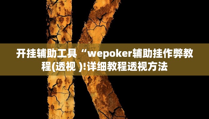 开挂辅助工具“wepoker辅助挂作弊教程(透视 )!详细教程透视方法