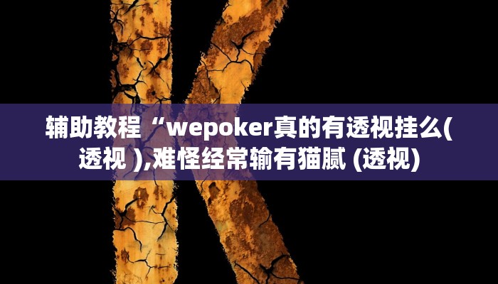 辅助教程“wepoker真的有透视挂么(透视 ),难怪经常输有猫腻 (透视)