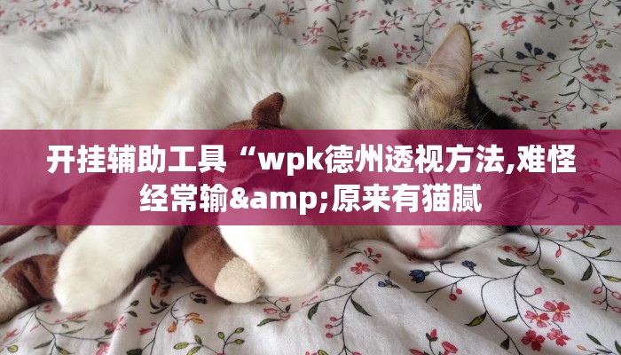 玩家辅助神器:“老夫子大厅开挂方法”其实确实有挂