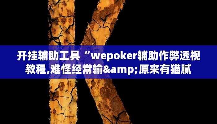 开挂辅助工具“wepoker辅助作弊透视教程,难怪经常输&原来有猫腻