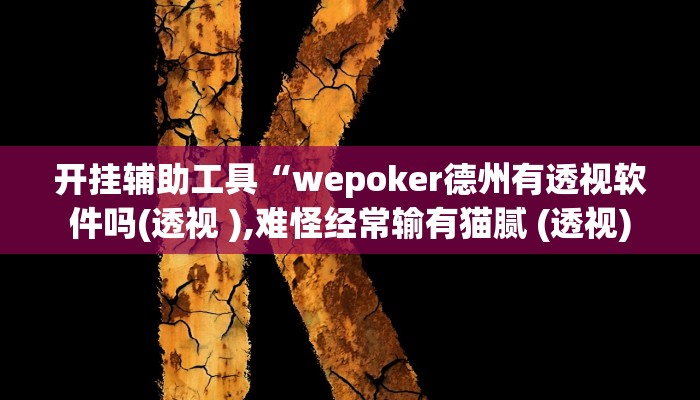 开挂辅助工具“wepoker德州有透视软件吗(透视 ),难怪经常输有猫腻 (透视)