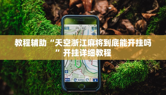 教程辅助“天空浙江麻将到底能开挂吗”开挂详细教程