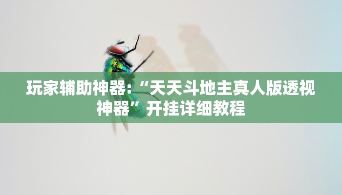 玩家辅助神器:“天天斗地主真人版透视神器”开挂详细教程