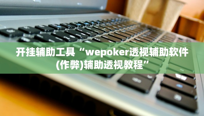开挂辅助工具“wepoker透视辅助软件(作弊)辅助透视教程”