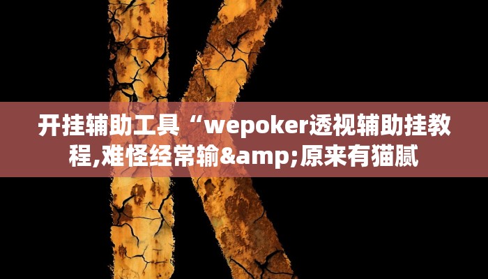 开挂辅助工具“wepoker透视辅助挂教程,难怪经常输&原来有猫腻