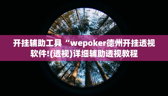 开挂辅助工具“wepoker德州开挂透视软件!(透视)详细辅助透视教程