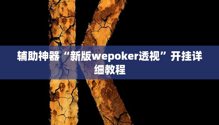 辅助神器“新版wepoker透视”开挂详细教程