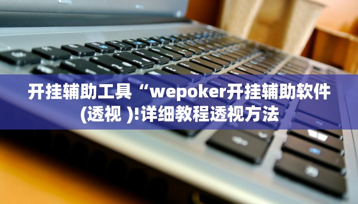 开挂辅助工具“wepoker开挂辅助软件(透视 )!详细教程透视方法