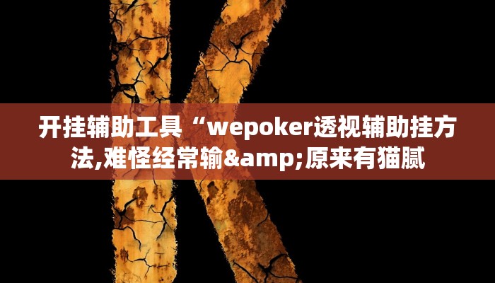 开挂辅助工具“wepoker透视辅助挂方法,难怪经常输&原来有猫腻
