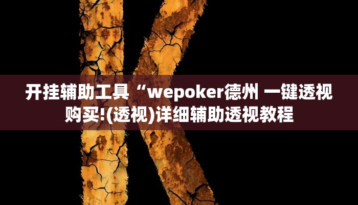 开挂辅助工具“wepoker德州 一键透视购买!(透视)详细辅助透视教程