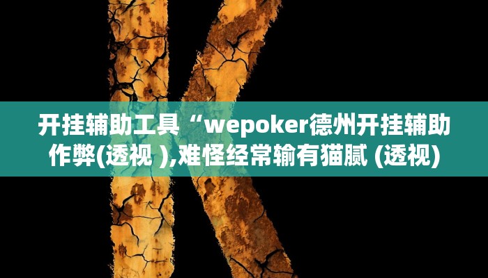开挂辅助工具“wepoker德州开挂辅助作弊(透视 ),难怪经常输有猫腻 (透视)