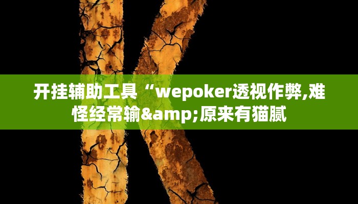 开挂辅助工具“wepoker透视作弊,难怪经常输&原来有猫腻