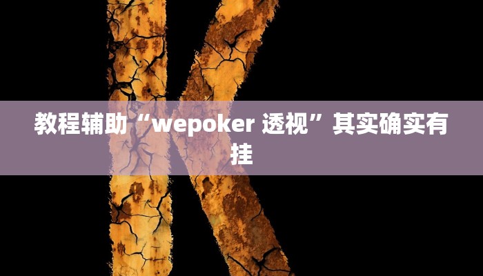 教程辅助“wepoker 透视”其实确实有挂