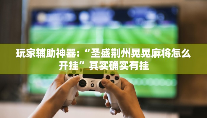 玩家辅助神器:“圣盛荆州晃晃麻将怎么开挂”其实确实有挂