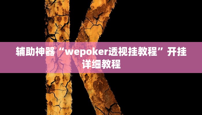 辅助神器“wepoker透视挂教程”开挂详细教程