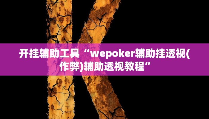 开挂辅助工具“wepoker辅助挂透视(作弊)辅助透视教程”