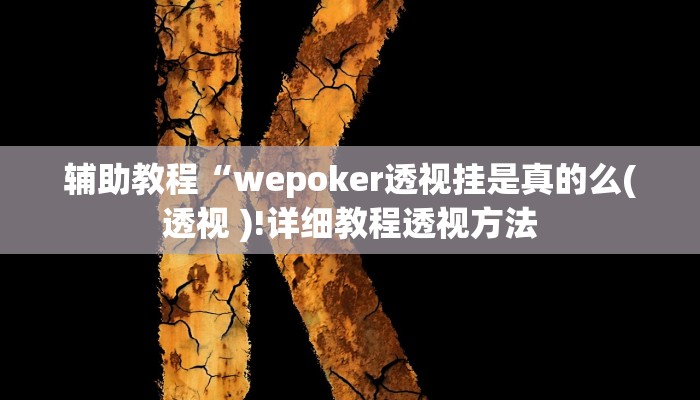 辅助教程“wepoker透视挂是真的么(透视 )!详细教程透视方法