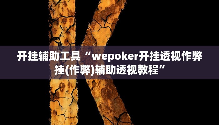 开挂辅助工具“wepoker开挂透视作弊挂(作弊)辅助透视教程”