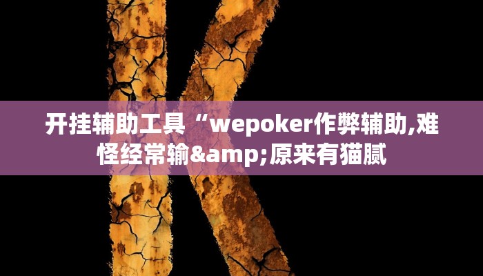 开挂辅助工具“wepoker作弊辅助,难怪经常输&原来有猫腻