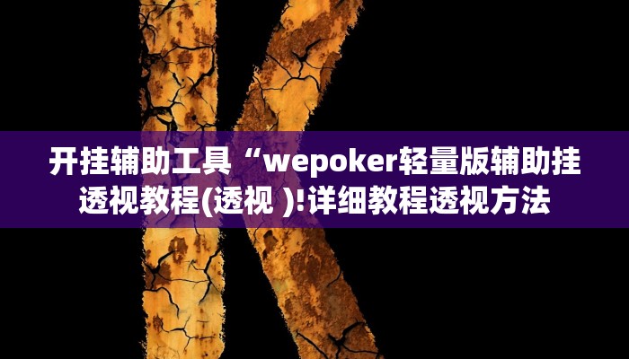 开挂辅助工具“wepoker轻量版辅助挂透视教程(透视 )!详细教程透视方法