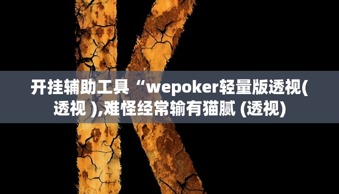 开挂辅助工具“wepoker轻量版透视(透视 ),难怪经常输有猫腻 (透视)
