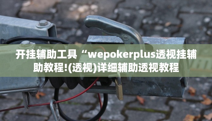 开挂辅助工具“wepokerplus透视挂辅助教程!(透视)详细辅助透视教程